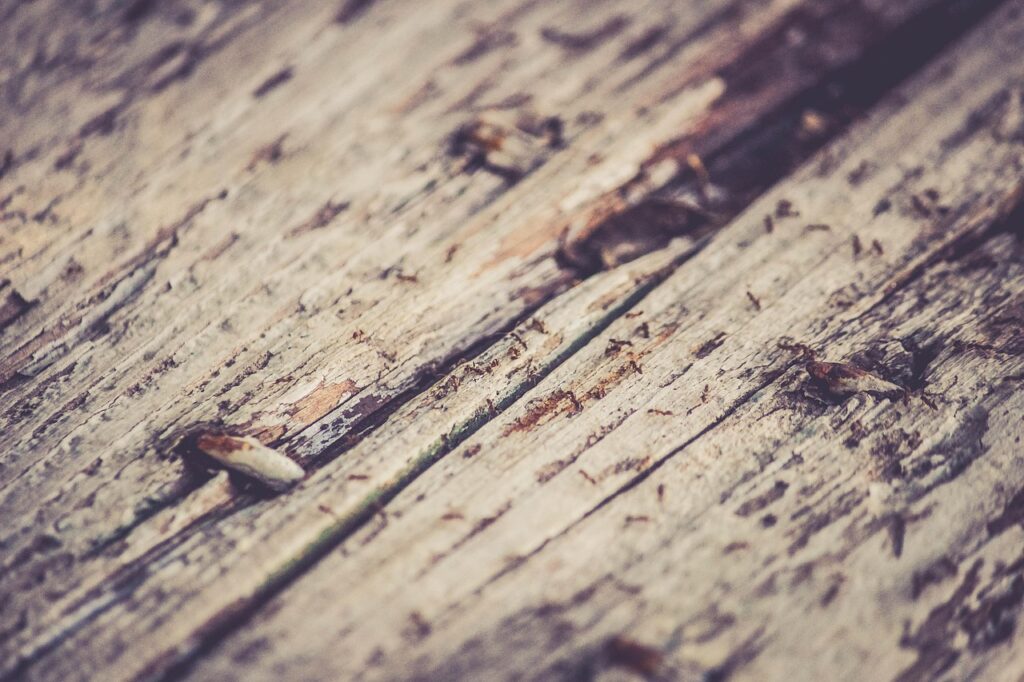 rustic, wood, texture, rustic, rustic, rustic, rustic, rustic